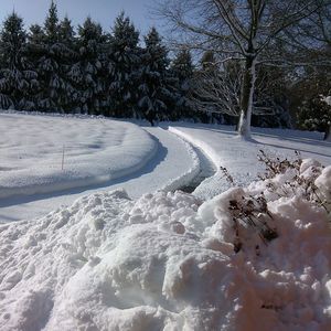 Meet your Posher, Lisbet